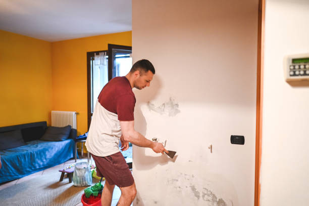 Grayson, KY Mold Removal Pros